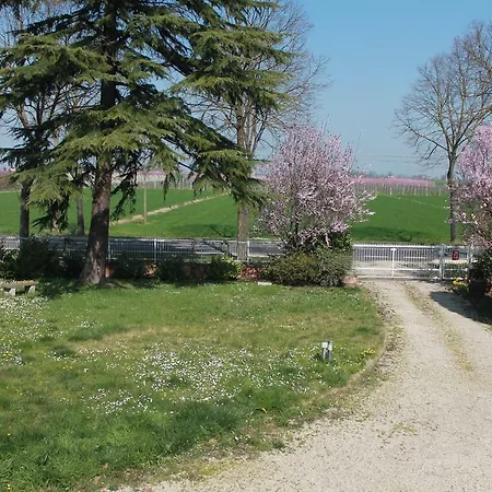 Viale Dei Tigli * Castel Guelfo Di Bologna