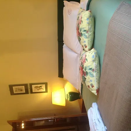 B&B Viale Dei Tigli 카스텔겔포디블로냐